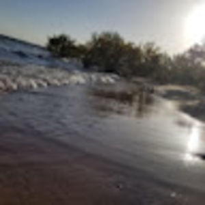 Meet your Posher, Minnie